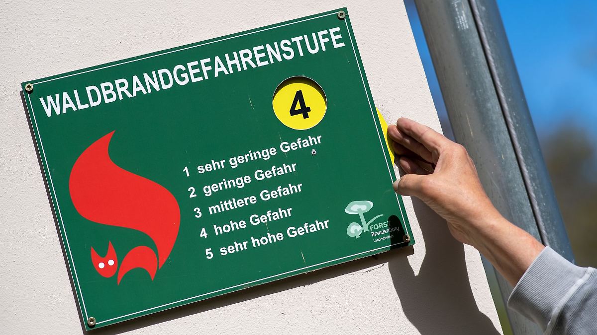 Berlin & Brandenburg: Hohe Waldbrandgefahr in einigen Regionen - Feuer bekämpft