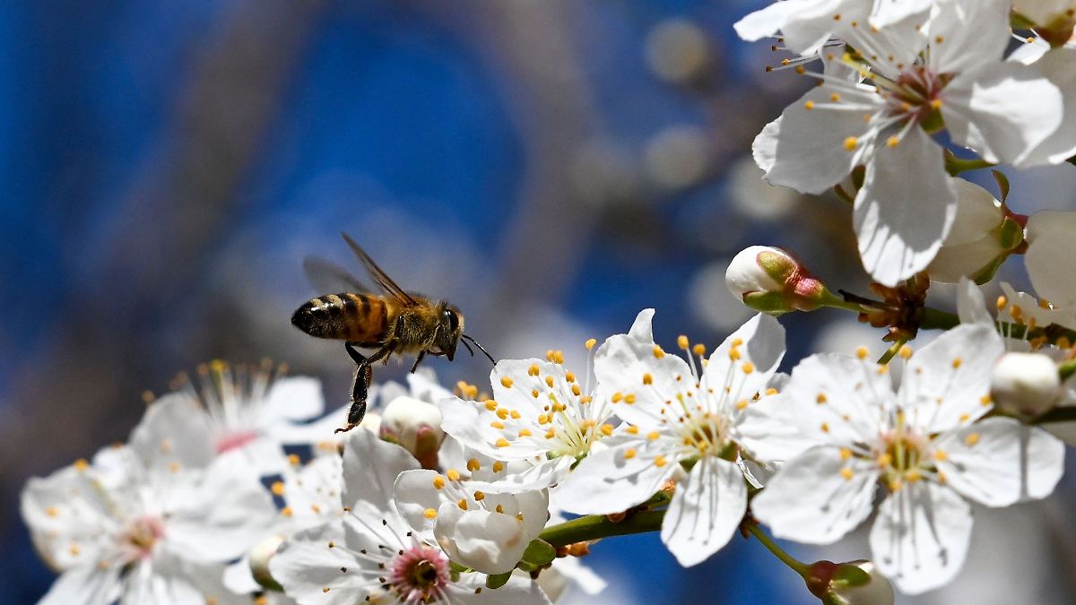 Berlin & Brandenburg: Sonne und steigende Temperaturen zum Wochenende