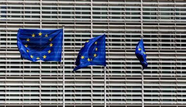 Das Bild zeigt 3 Europa-Flaggen vor einem modernen Gebäudekomplex.
