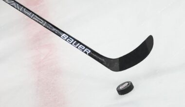 Nürnberg Ice Tigers holen Stürmer aus US-College-Liga