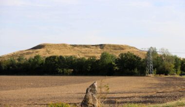 Die inzwischen bewaldete Deponie Seehausen.