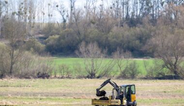 Berlin & Brandenburg: Projekt zum Moorschutz gestartet
