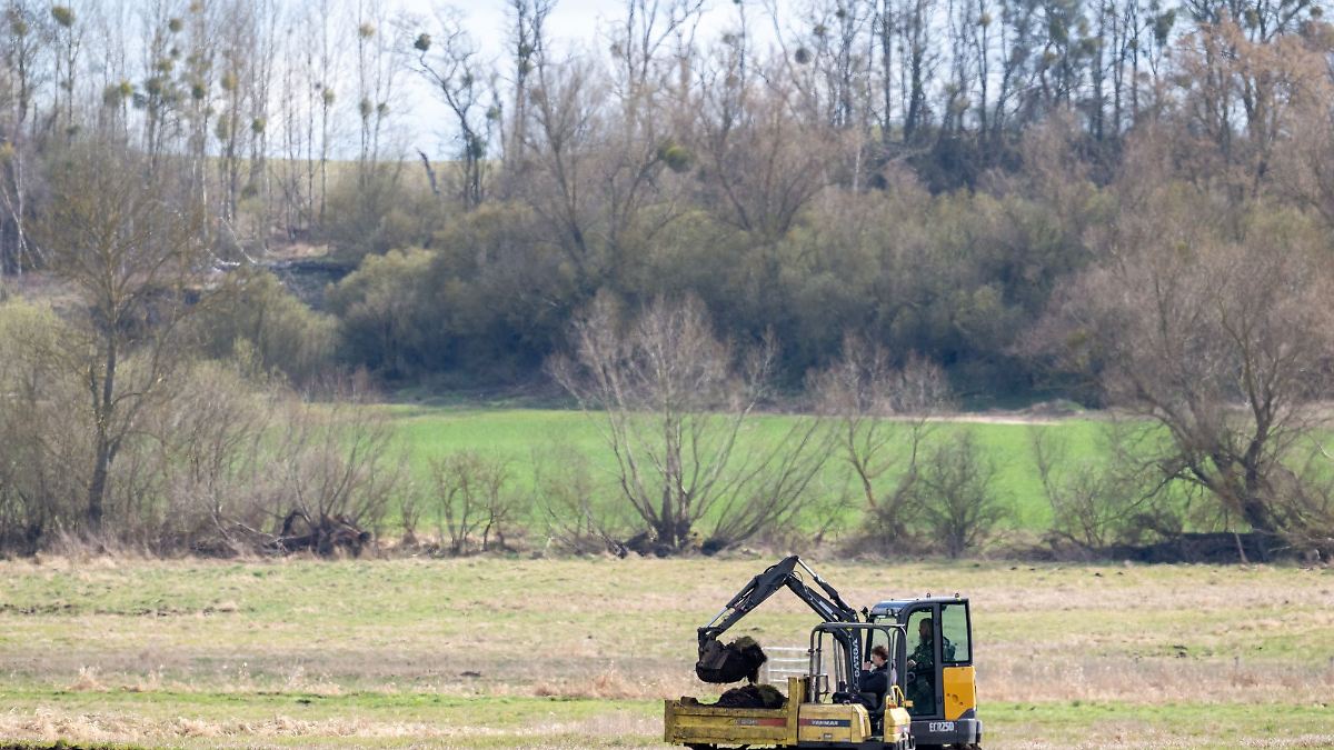 Berlin & Brandenburg: Projekt zum Moorschutz gestartet