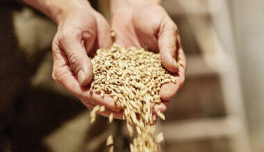 Rye Whisky Made in Europe?