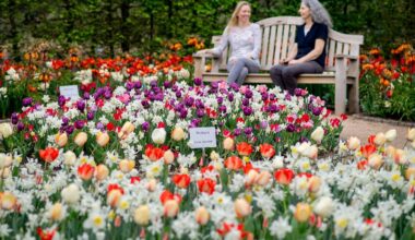Niedersachsen & Bremen: Buntes Blumenmeer im Ammerland - Park der Gärten blüht auf