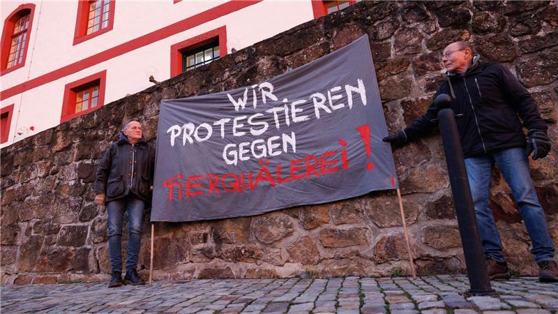 Im vergangenen Jahr wurden in Niedersachsen 990 Verstöße gegen das Tierschutzgesetz registriert - im Vergleich zum Vorjahr ist die Zahl gesunken. (Archivbild)