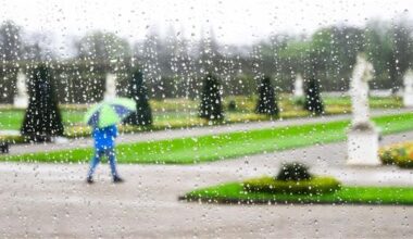 Gewitter in Niedersachsen und Bremen erwartet