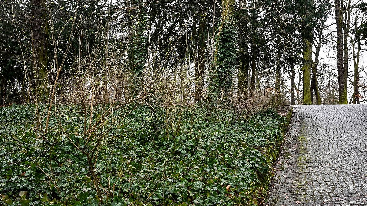 Berlin & Brandenburg: Mutter und Kleinkinder von Mann rassistisch beleidigt