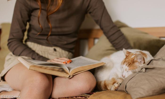 Einer Katze wird vorgelesen