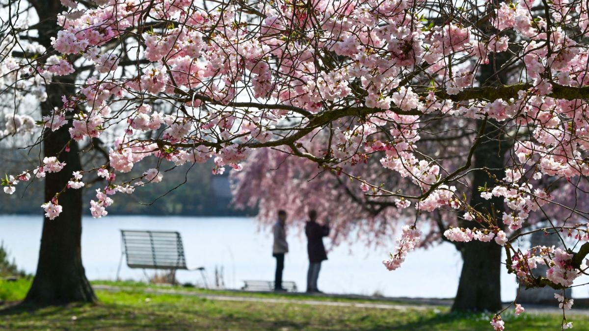 Freundliches Frühlingswetter in Berlin und Brandenburg