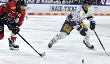 Deutsche Eishockey Liga: Eisbären Berlin vor elftem Titel – Kölner Haie erneut chancenlos