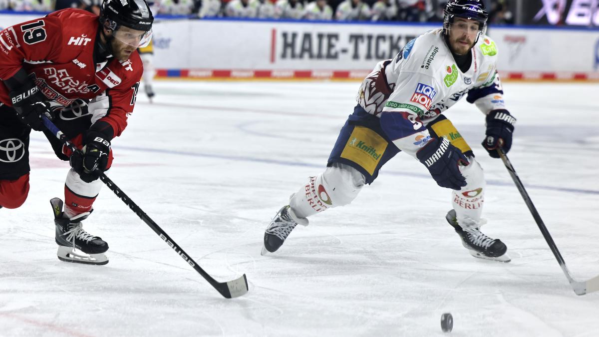 Deutsche Eishockey Liga: Eisbären Berlin vor elftem Titel – Kölner Haie erneut chancenlos