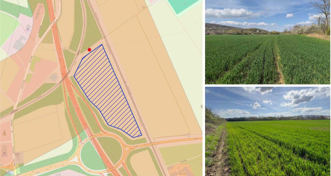 BürgerEnergie Rhein-Sieg eG plant Solarpark in Sinzig