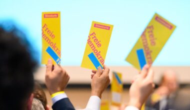 Nach Wahlpleiten: Ritter soll Hamburgs FDP stabilisieren