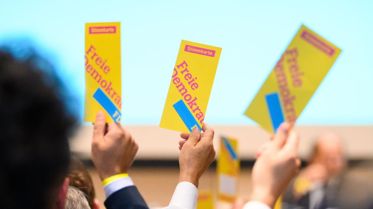 Nach Wahlpleiten: Ritter soll Hamburgs FDP stabilisieren