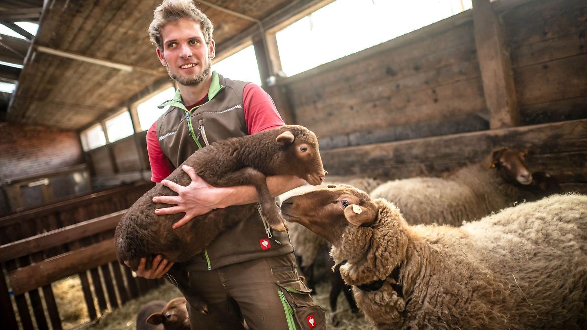 Niedersachsen & Bremen: Blinder Landwirt lebt seinen Traum auf dem eigenen Hof