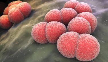 Phase-III-Studie: Gepotidacin wirksam gegen Gonorrhö - Ärzte Zeitung