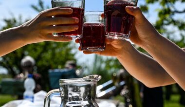 Berlin & Brandenburg: Havelstadt Werder bald bereit für das Baumblütenfest