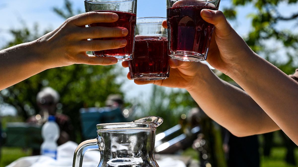 Berlin & Brandenburg: Havelstadt Werder bald bereit für das Baumblütenfest