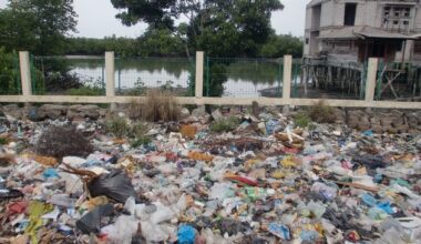 Plastikmüll im Ozean: Was biologisch abbaubare Kunststoffe zur Lösung des Problems ...