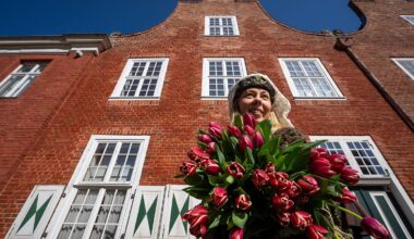 Berlin & Brandenburg: Zehntausende Tulpen bringen Potsdam zum Blühen