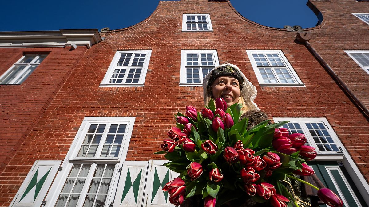 Berlin & Brandenburg: Zehntausende Tulpen bringen Potsdam zum Blühen