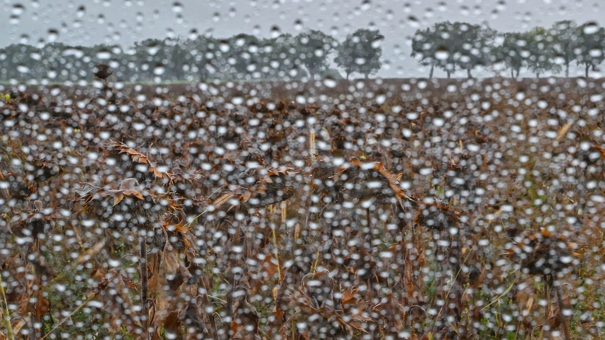 Niedersachsen & Bremen: Außergewöhnlich trocken - Landwirte hoffen auf Regen