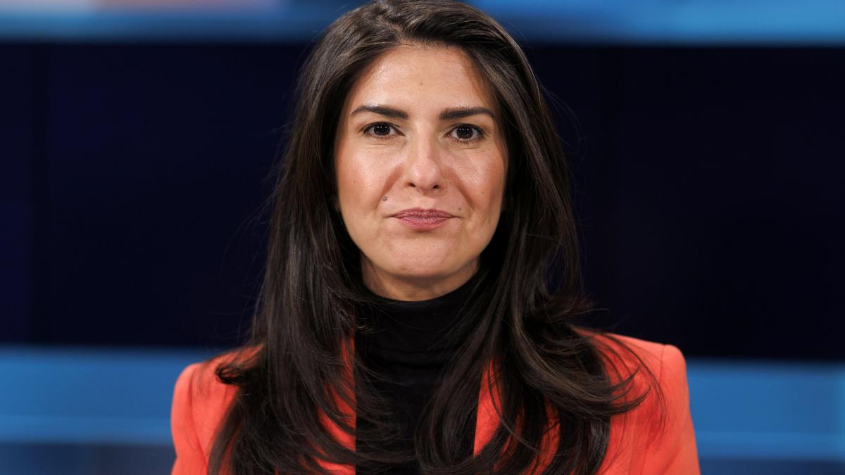 „Erdogan hat dieses Mal den Bogen überspannt“
