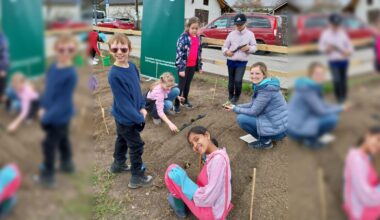 Kinder lernen in der „GemüseAckerdemie”