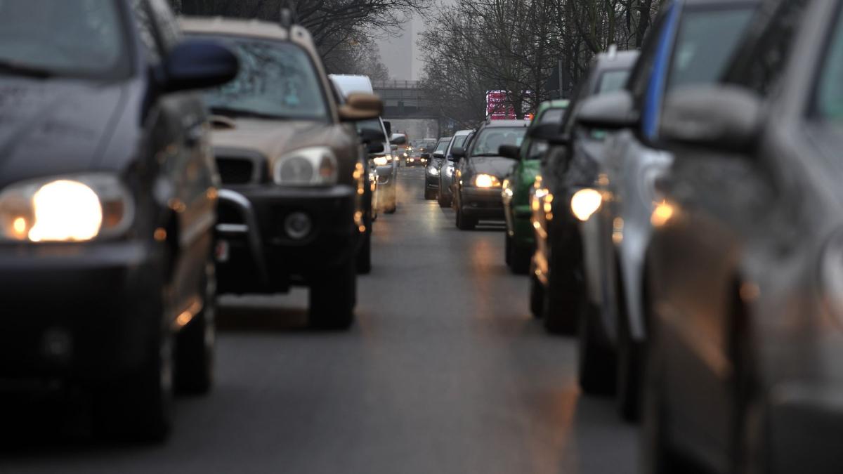 Kritik an Fällung Dutzender Bäume am Tempelhofer Damm