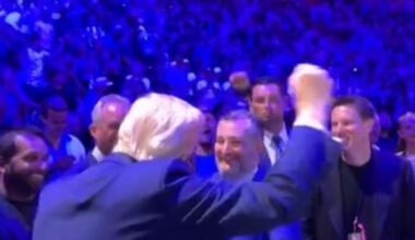 Musk mit Kleinkind bei Blut-Show: Halle grölt "USA" - Trump besucht Käfig-Kampf mit Ministern