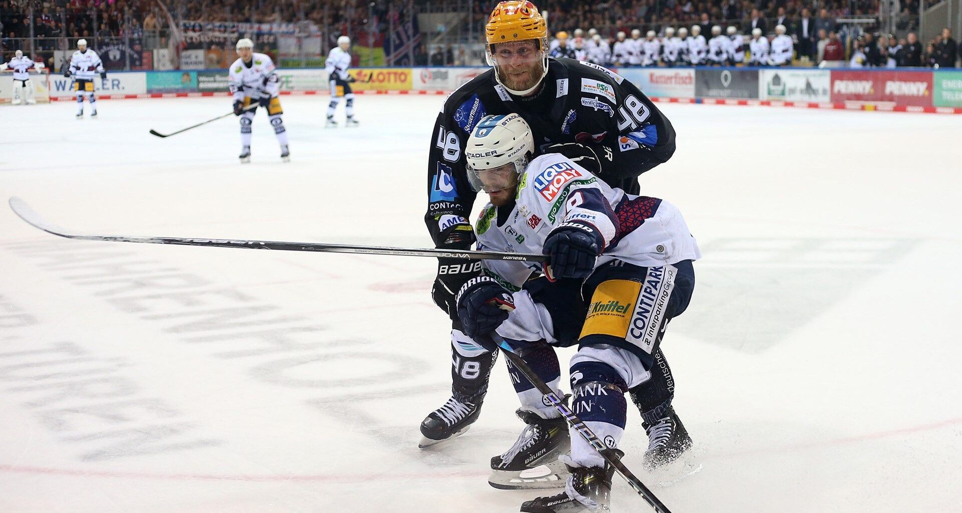 DEL: Eisbären vor Finaleinzug - Köln führt gegen Ingolstadt