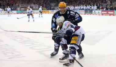 DEL: Eisbären vor Finaleinzug - Köln führt gegen Ingolstadt