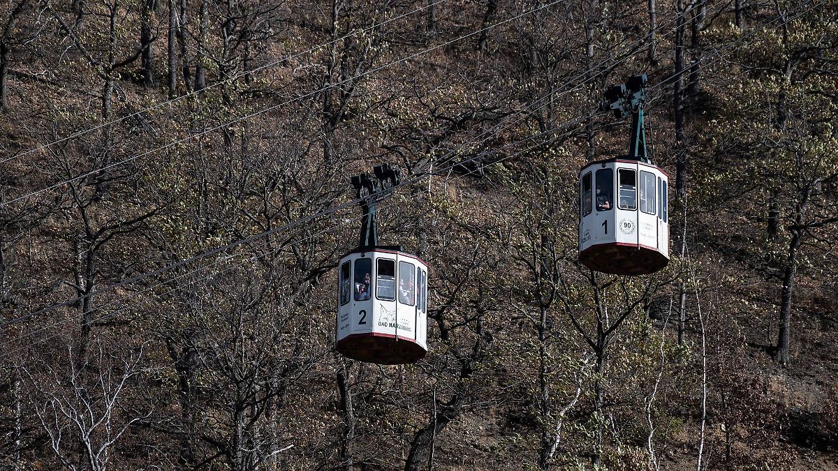 Niedersachsen & Bremen: Wald am Burgberg nach Brand beregnet