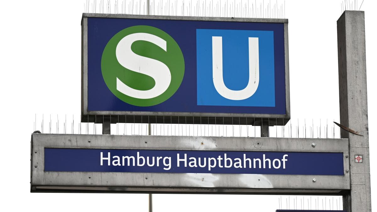 Polizeieinsatz: Massenschlägerei am Hamburger Hauptbahnhof