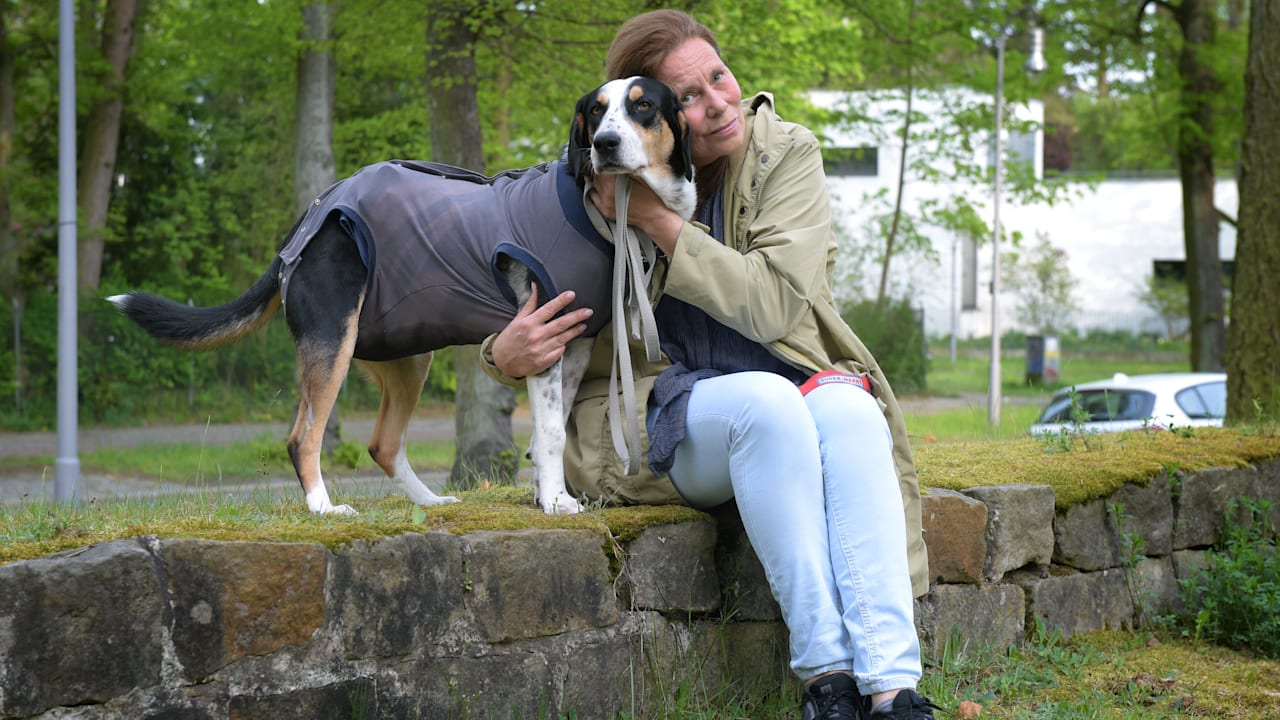 Berlin: Hund von Bahn skalpiert – Versicherung zahlt nur 500 Euro OP-Kosten | Regional