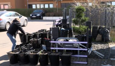 Köln: Sechs Männer bei Drogen-Razzia verhaftet | Regional