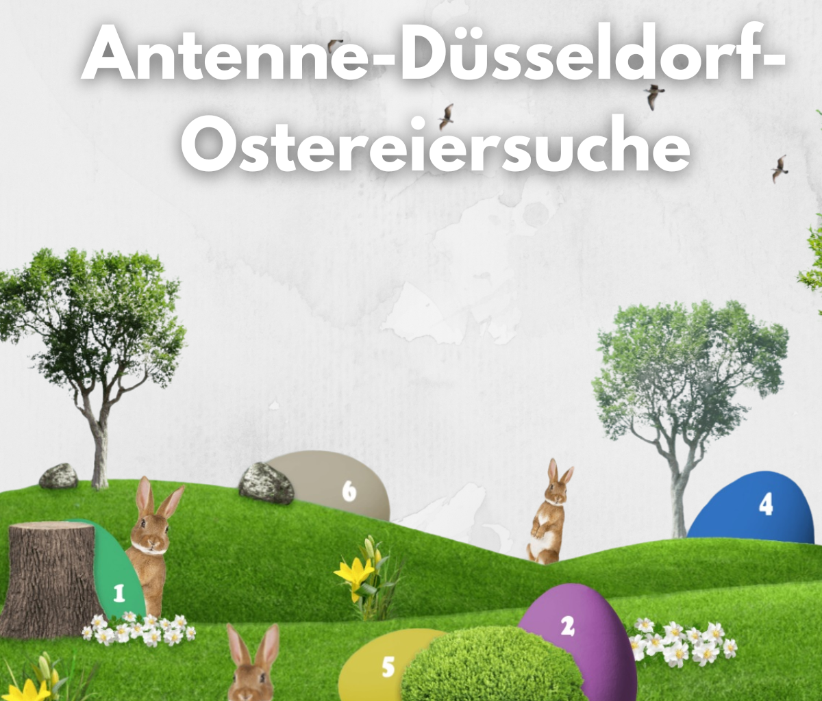 Ostereiersuche mit tollen Preisen - Antenne Düsseldorf
