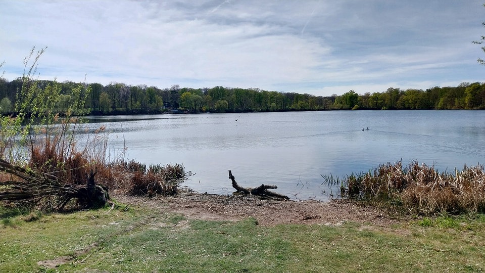 Ausflugsziel vor der Haustür: der Auensee in Leipzig
