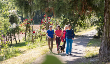 AugenBlick mal! Gemeinsames Wander-Opening rund um den Turmberg am 18. Mai