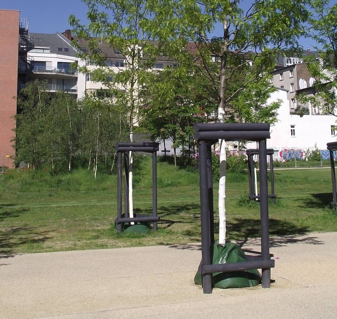 Bäume werden bereits jetzt gegossen