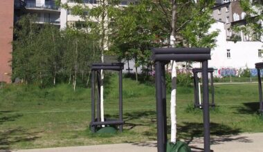 Bäume werden bereits jetzt gegossen