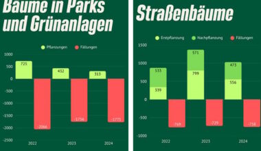 Bündnisgrüne Fraktion stellt neuen Antrag zum Erhalt des Leipziger Baumbestands · Leipziger Zeitung