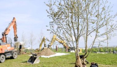 IGA 2027: Baumpflanzungen im Rheinpark