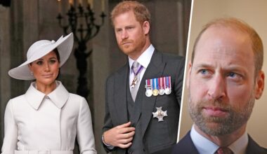 Prinz William will Meghan den Titel entziehen: „Hass und Verachtung“ - BILD