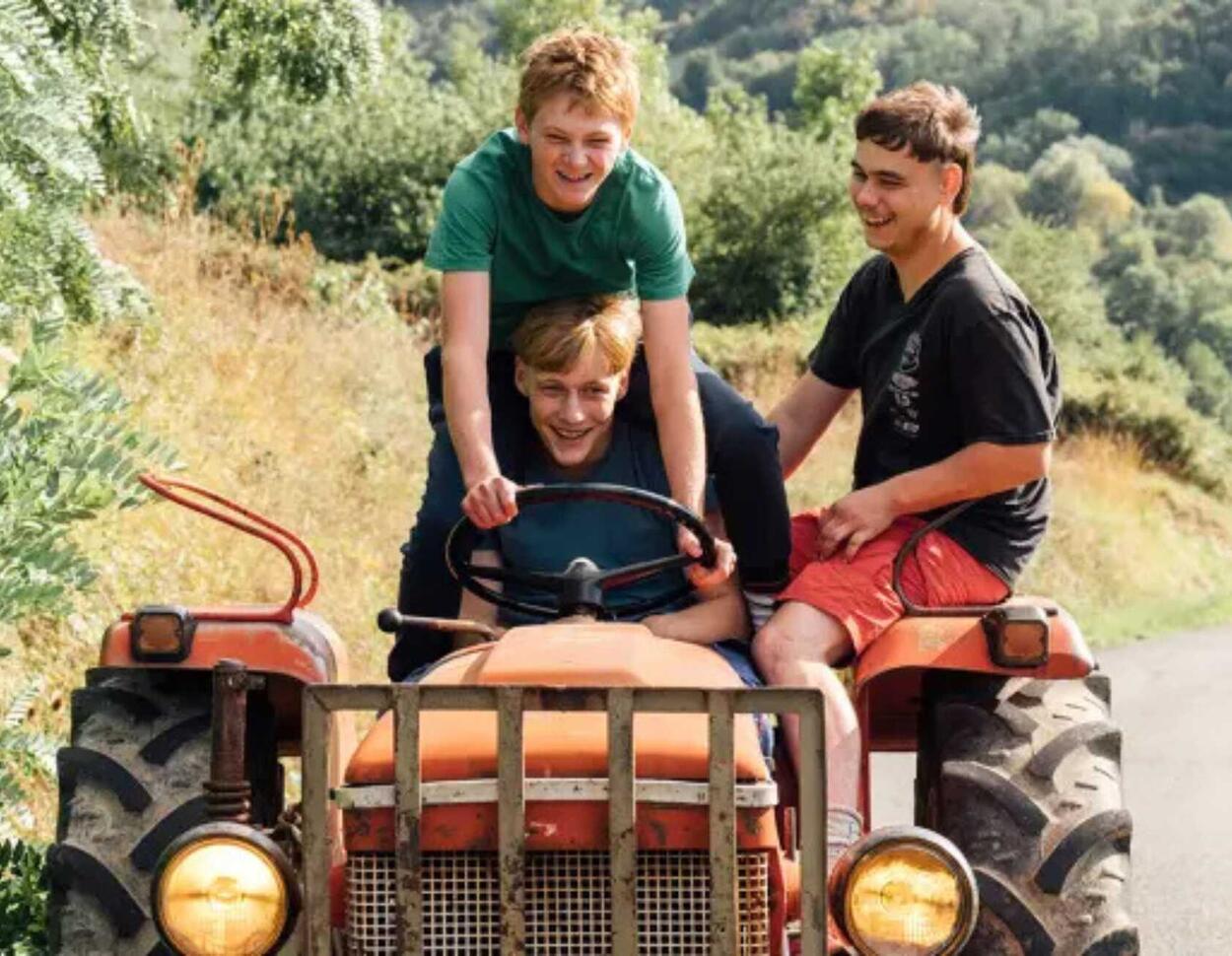 Schonungslose Realität: Film trifft Landwirte mitten ins Herz