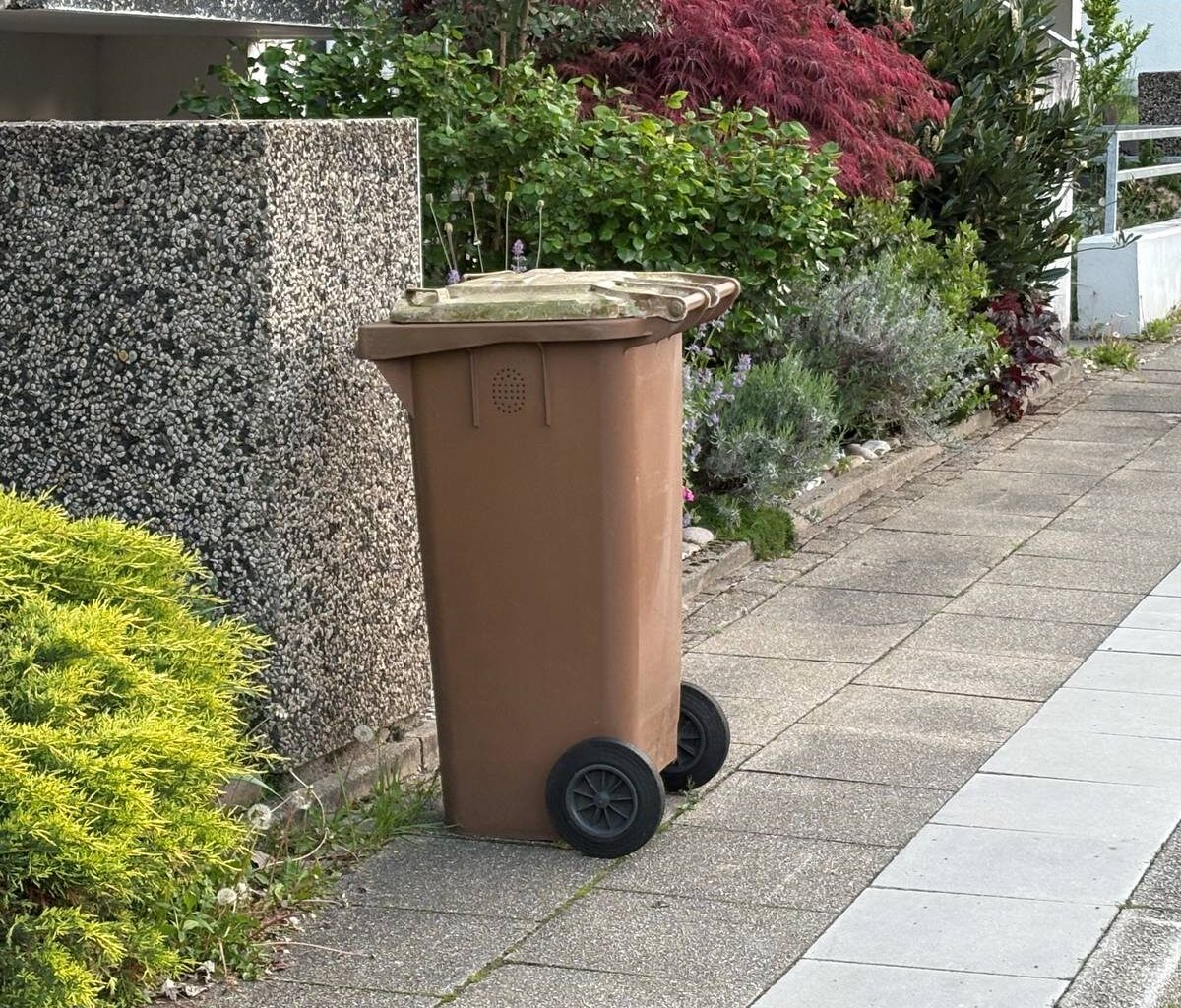 Strengere Kontrollen: Bio-Tonnen in Essen müssen richtig befüllt werden