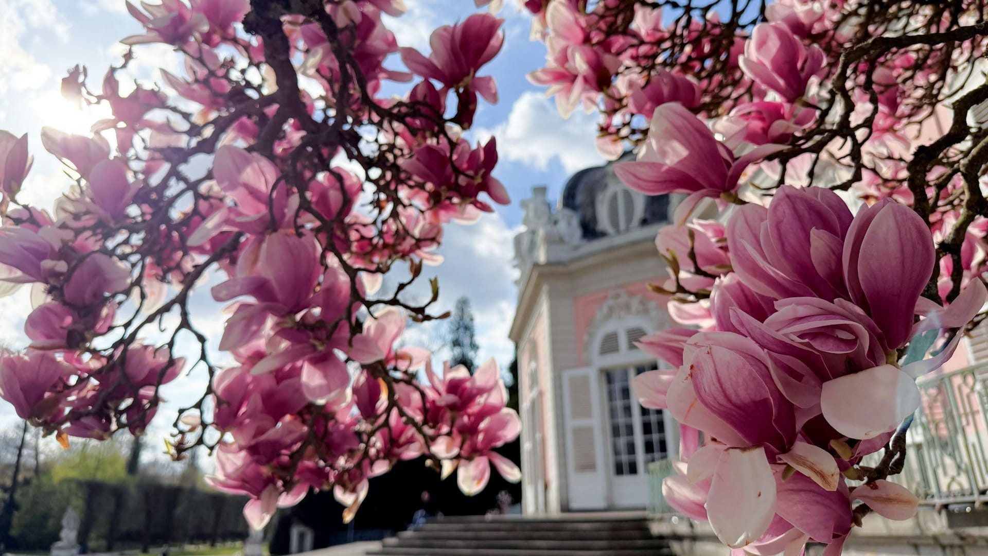Sonniges Frühlingswetter