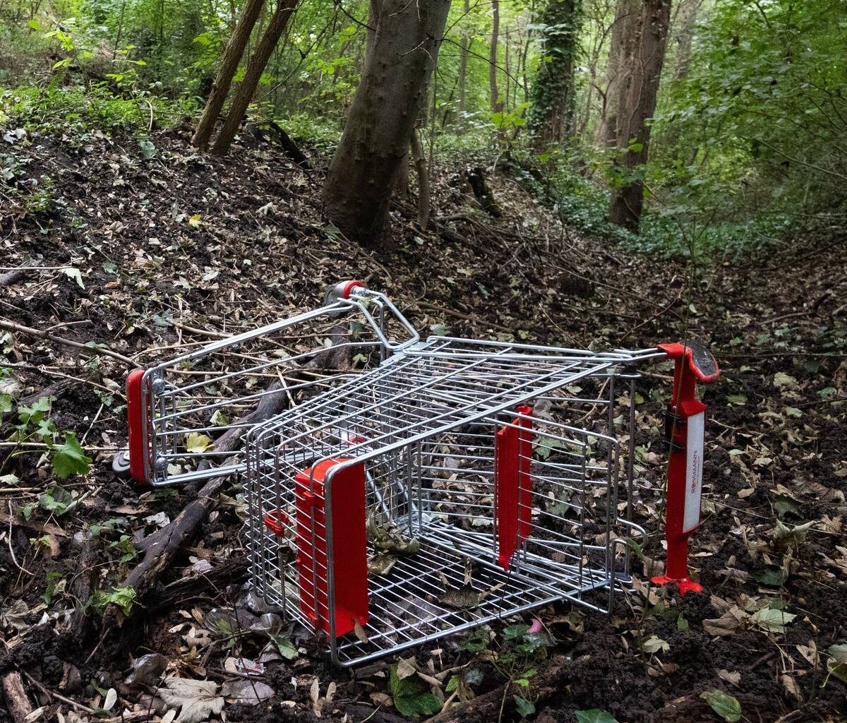 Wilde Einkaufswagen: Gelsenkirchen arbeitet an einer Lösung