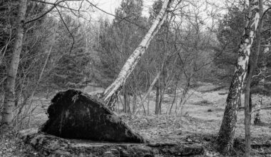 Weimar: Neuer Bildband dokumentiert Spuren des KZ Buchenwald auf dem Ettersberg